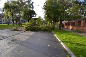 Służby pracują nad usuwaniem skutków wichury 